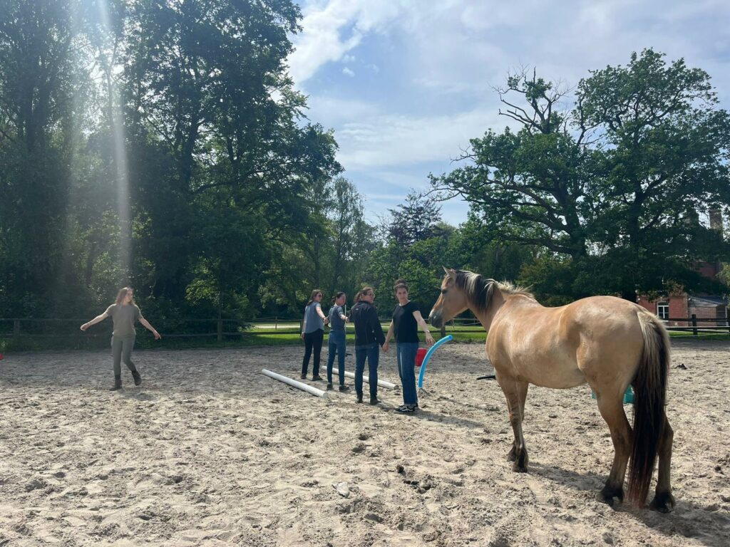 Equicoaching collectif