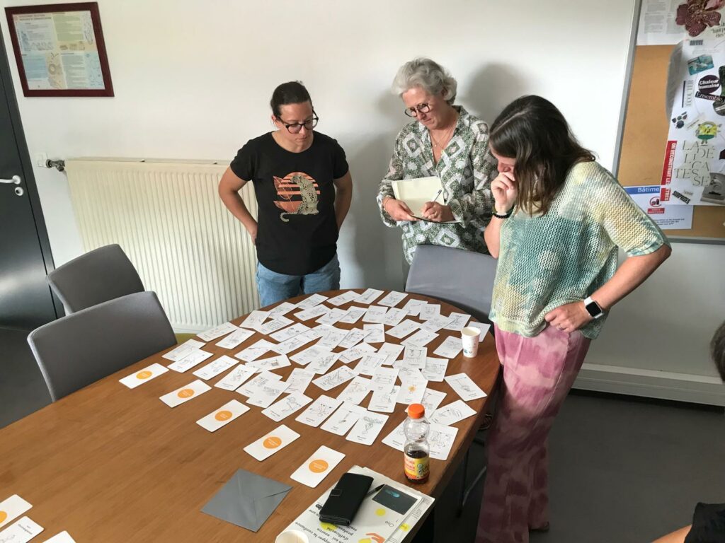 Formation en équipe
